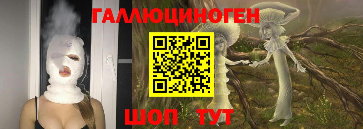 Галлюциногенные грибы GOLDEN TEACHER  Вход с VPN  Ишим  Галлюциногенные грибы GOLDEN TEACHER 