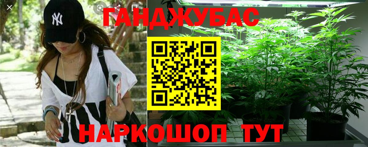 МАРИХУАНА гибрид Ишим